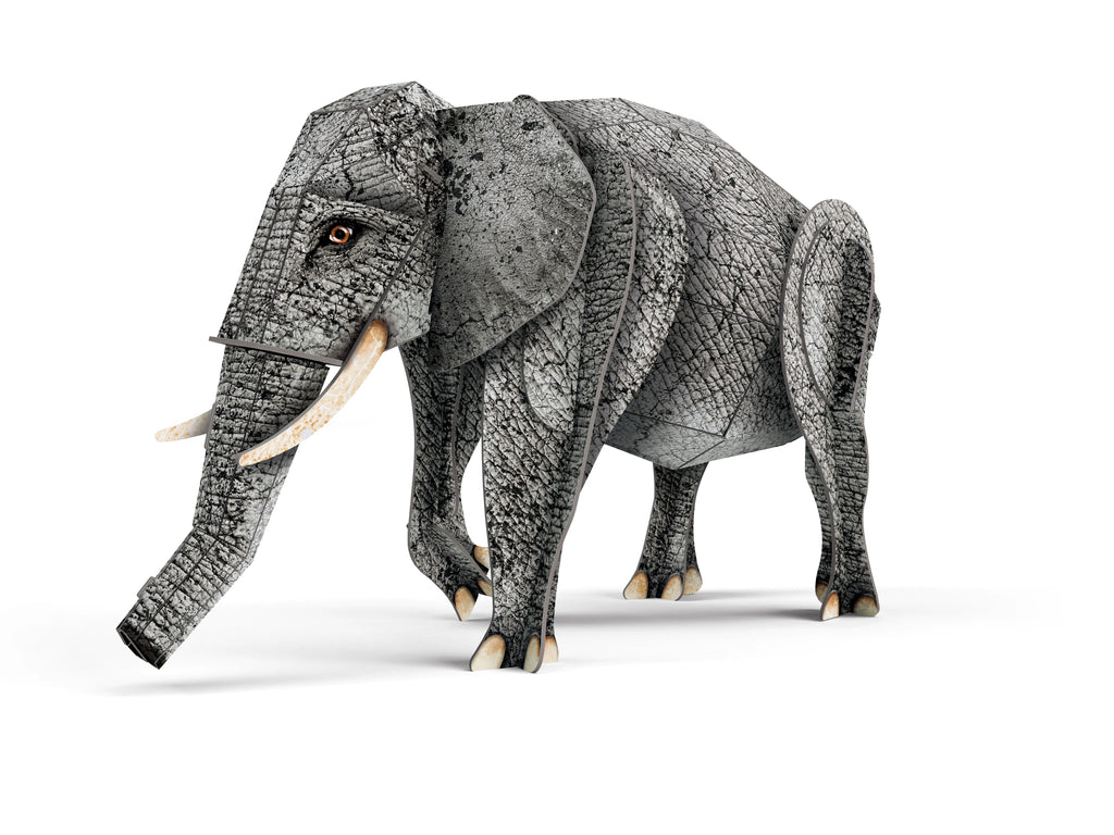 La Selva El elefante — La Selva. Una Biodiversidad fantástica - 3D MANOLITO BOOKS