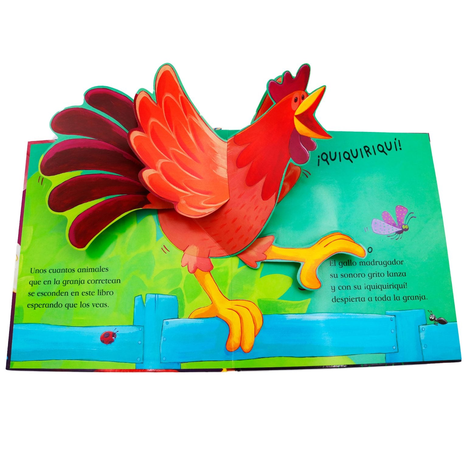 La gallina feliz COMBEL