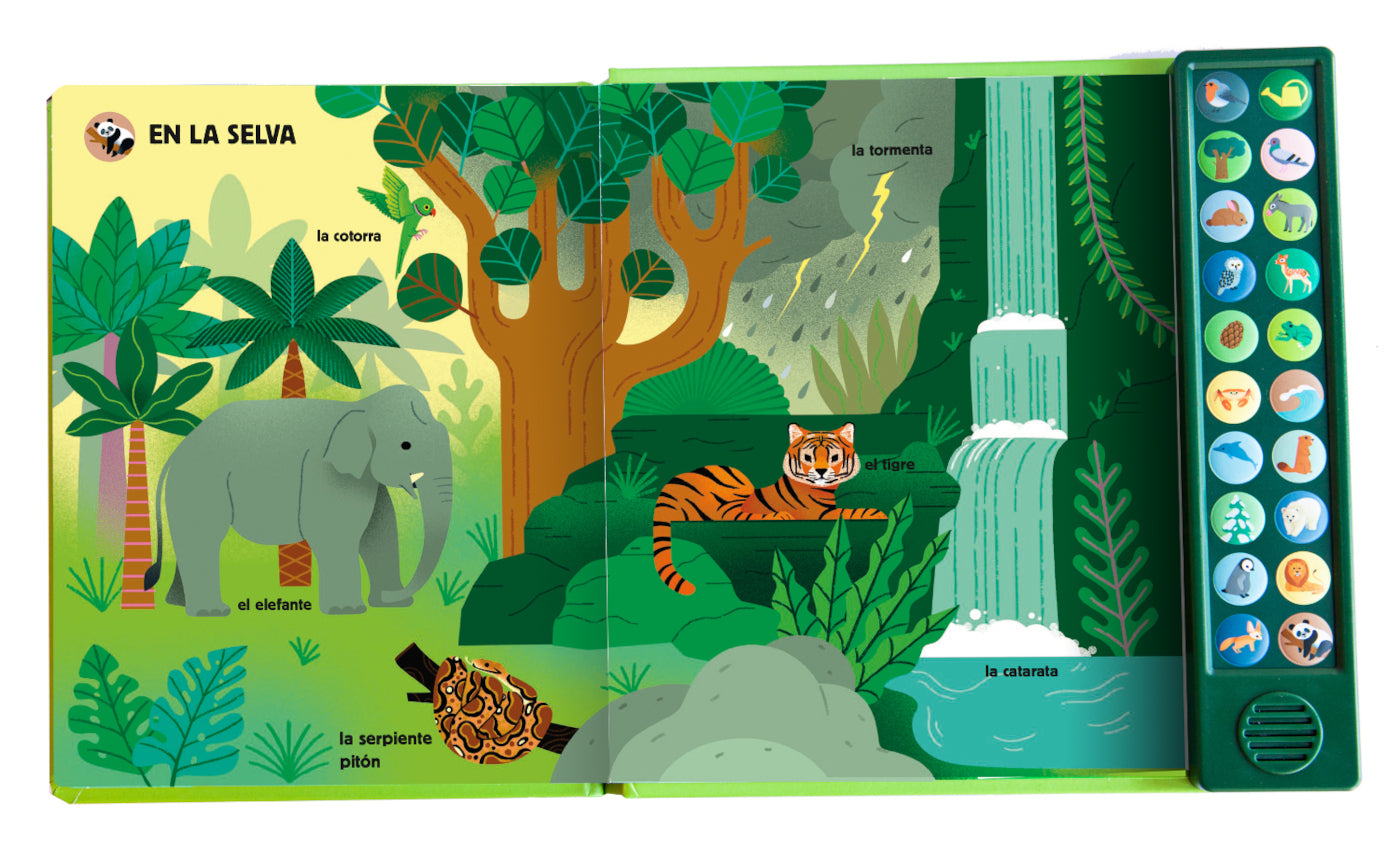 La naturaleza y yo. Mi imaginario sonoro COMBEL