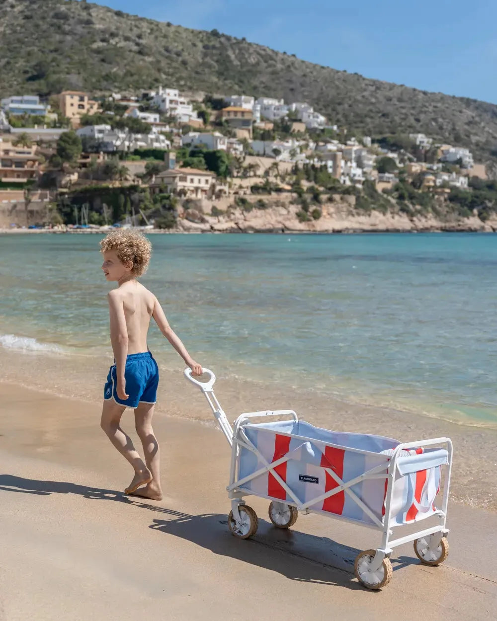 CARRO PLEGABLE PLAYA CON RUEDAS REX - FLAMINGUEO