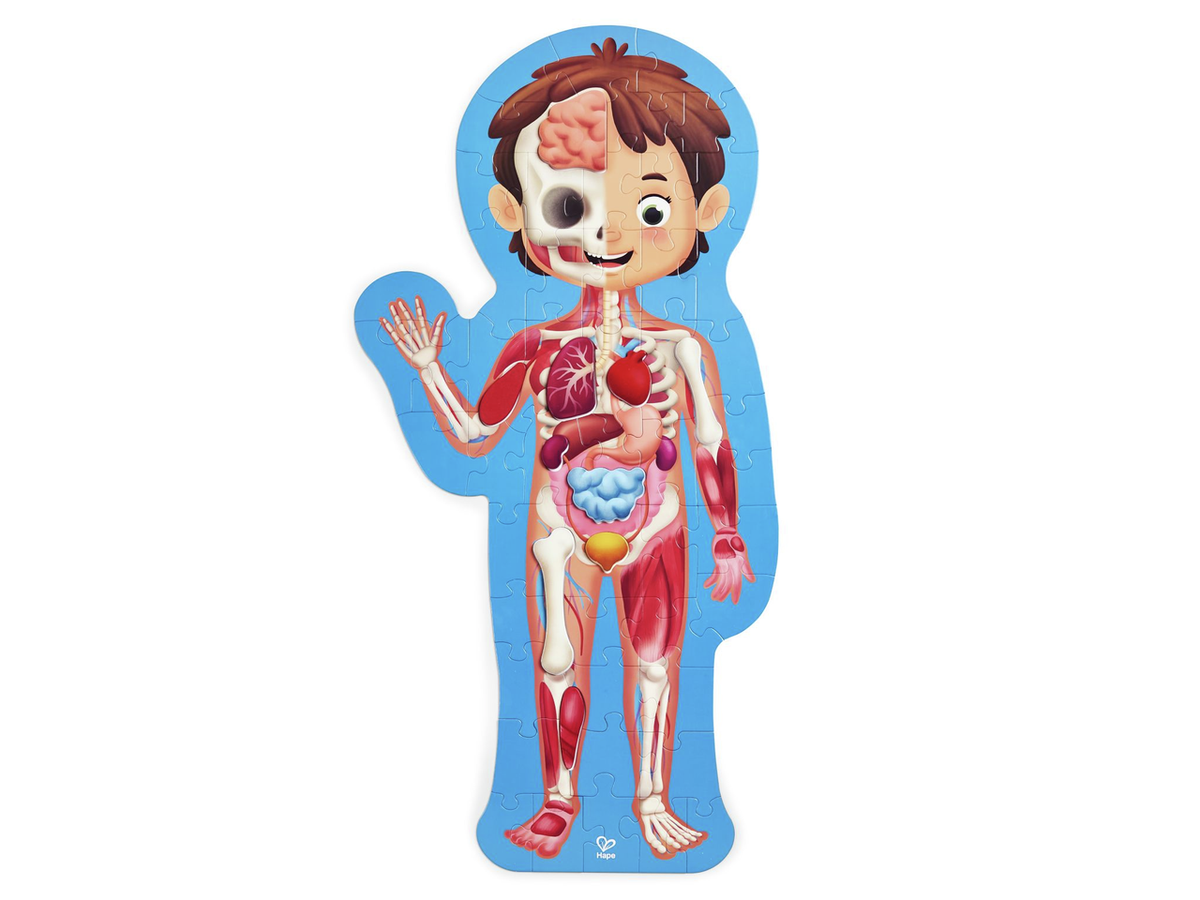 Puzle Cuerpo Humano HAPE