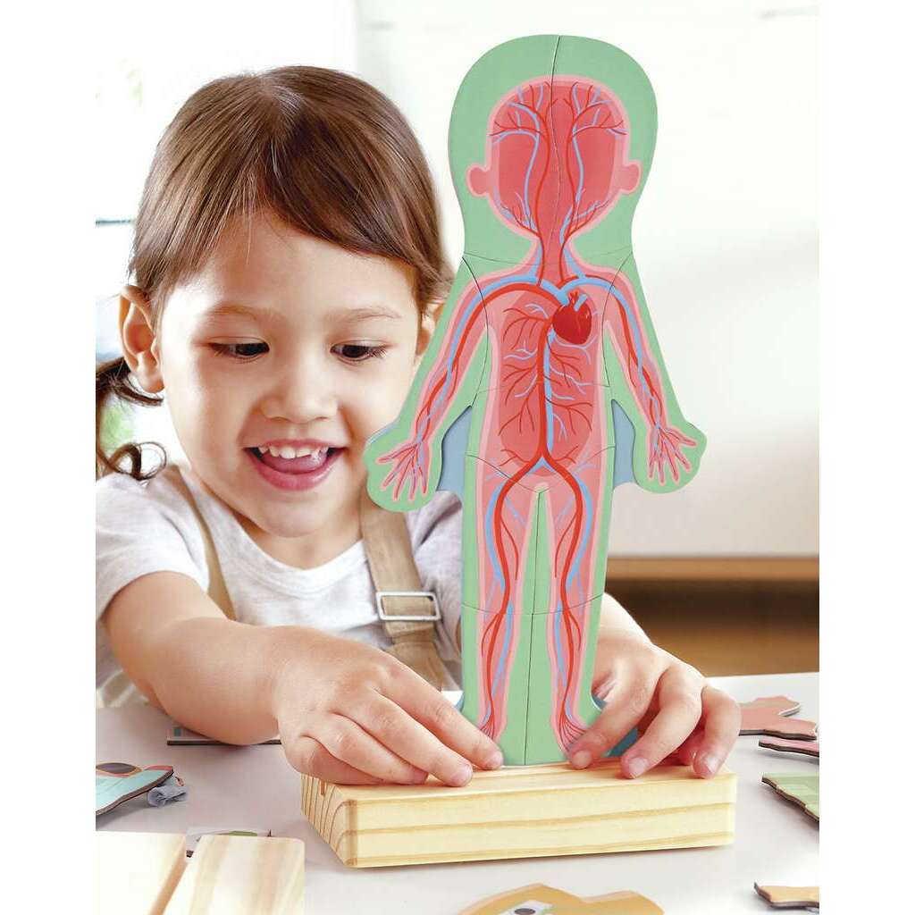 Rompecabezas magnético del cuerpo humano HAPE