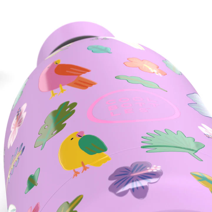 Fly Free 500ML COOL BOTTLES