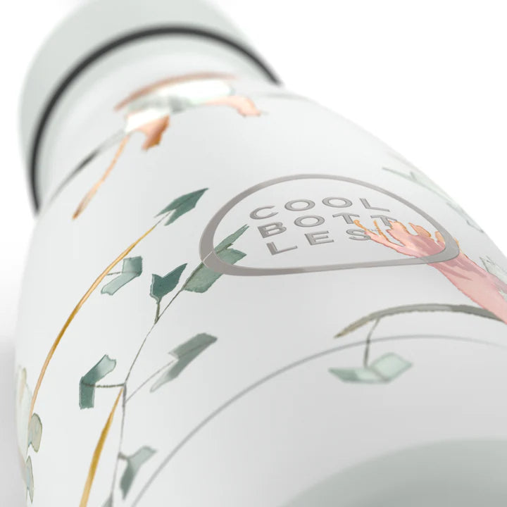 Reading Buddies 260ML COOL BOTTLES