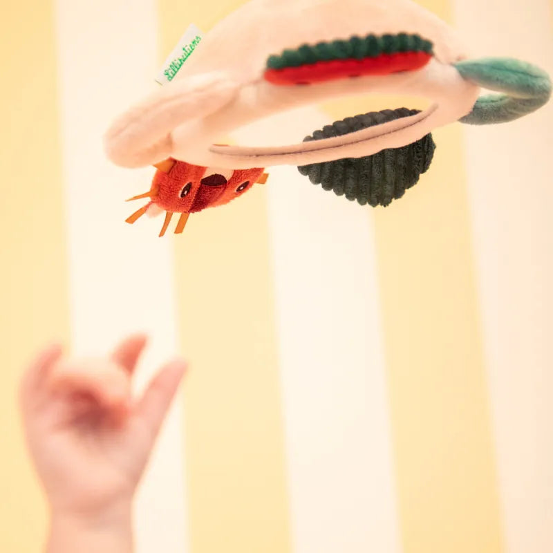 Espejo de actividades Jack el león Lilliputiens