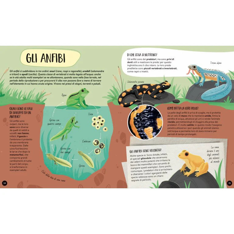 El mega atlas de los animales MANOLITO BOOKS