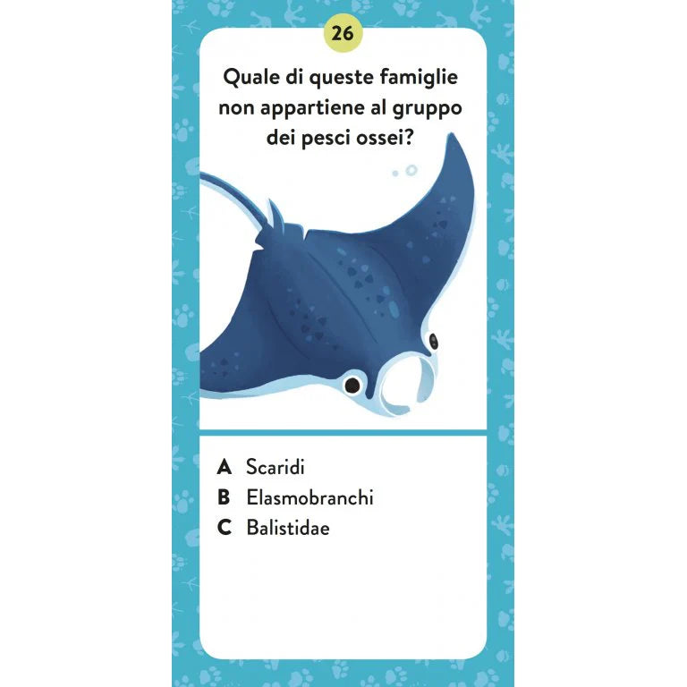 El mega atlas de los animales MANOLITO BOOKS