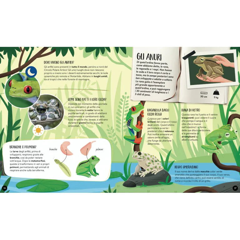 El mega atlas de los animales MANOLITO BOOKS