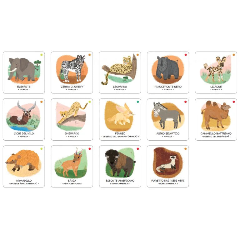 Animales por salvar desiertos y sabana MANOLITO BOOKS