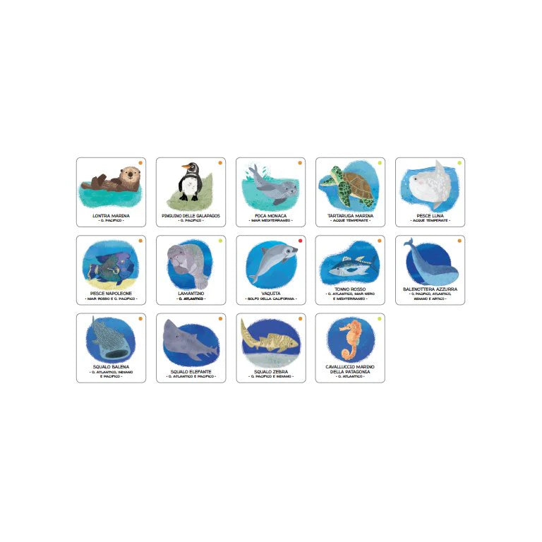 Animales por salvar mares y oceanos MANOLITO BOOKS