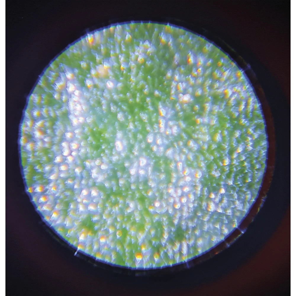 Microscopio de bolsillo janod
