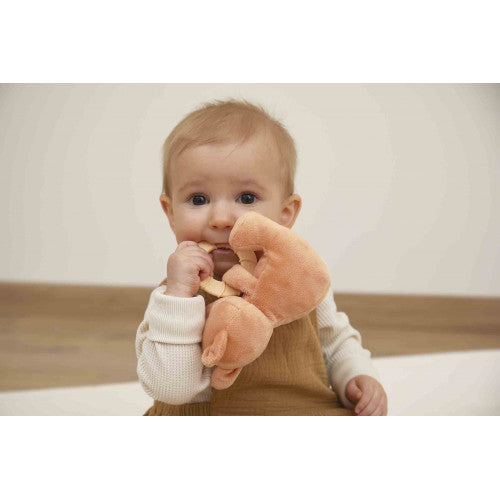 Mordedor de peluche - Ardilla Kaloo